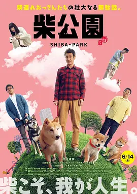 杜比视界