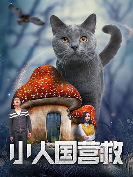 杨洋在其中饰演叶修，随着剧情的进展已经正式从小网管变身战队队长，带领战队一路过关斩将，十分过瘾。