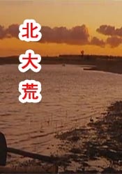 DVD高清完整版