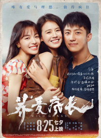 DVD高清完整版